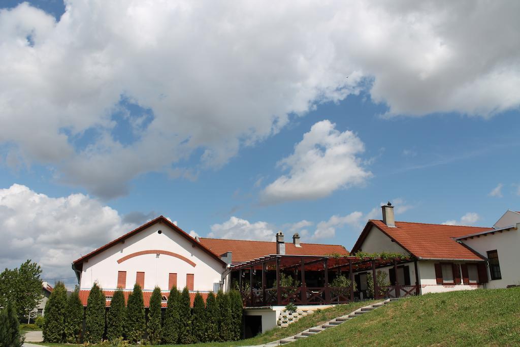 Tiffan'S Pinceszet Es Panzio Hotel Villány Buitenkant foto