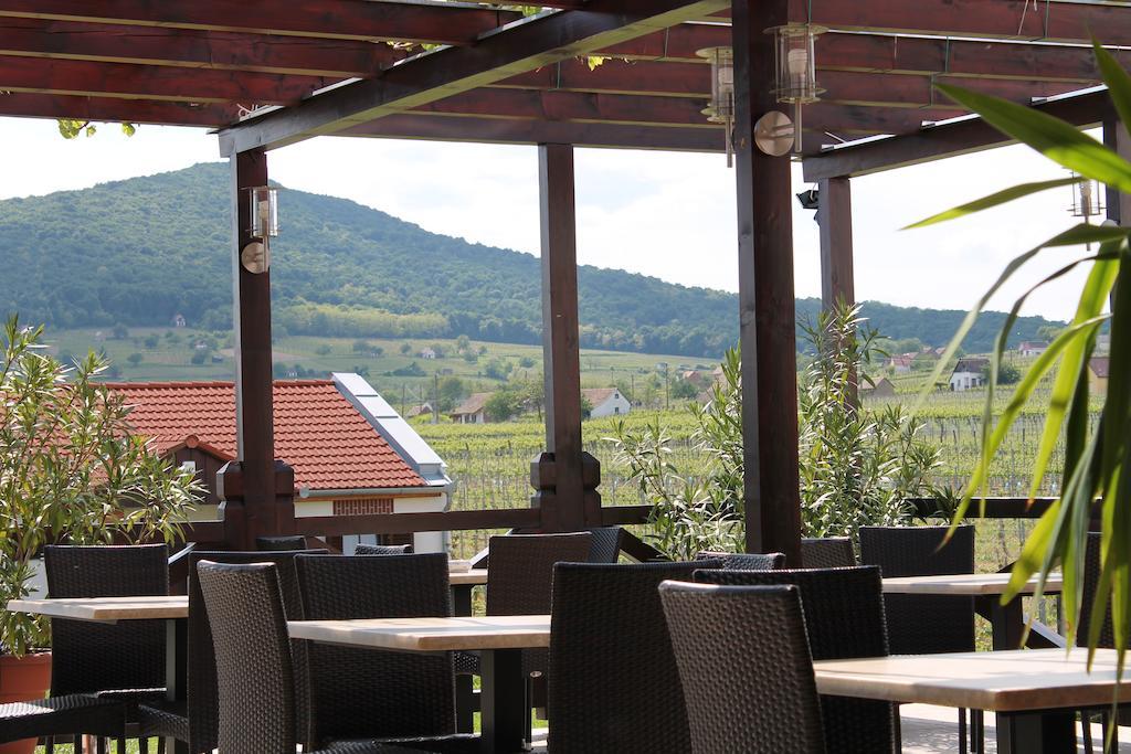 Tiffan'S Pinceszet Es Panzio Hotel Villány Buitenkant foto