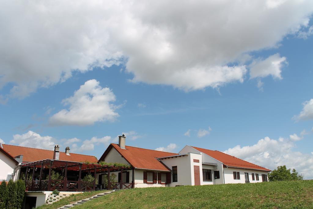 Tiffan'S Pinceszet Es Panzio Hotel Villány Buitenkant foto